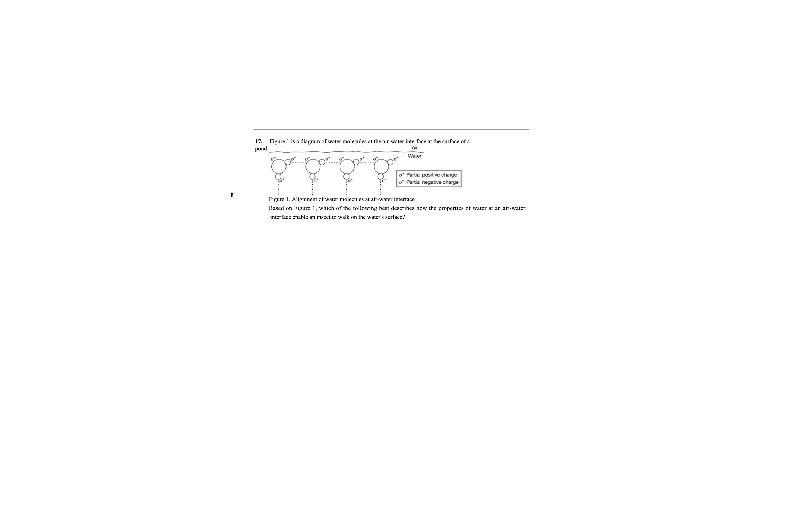 <p>Which of the following best describes how the properties of water at an air-water interface enable an insect to walk on water’s surface</p>