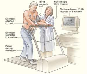 Both ventilation rate and tidal volume increase with increased intensity of exercise.  During exercise the rate of cellular respiration increases and as a result more carbon dioxide is produced by the cells.  The carbon dioxide production in the tissues exceeds the rate of breathing it out, which will lead to a drop in the pH of the blood.  Chemoreceptors detect the change in blood pH and send nerve impulses to the breathing center of the brain.  The brain responds by sending nerve impulses to the diaphragm and intercostal muscles which will contract more frequently (increasing ventilation rate) and with more force (increasing tidal volume).