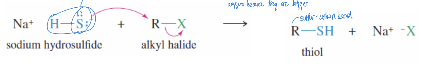 <p>Thiol Synthesis Reaction</p>