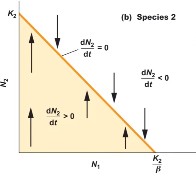<p>the effect of species # on # will drive species 2 to carrying capacity</p>