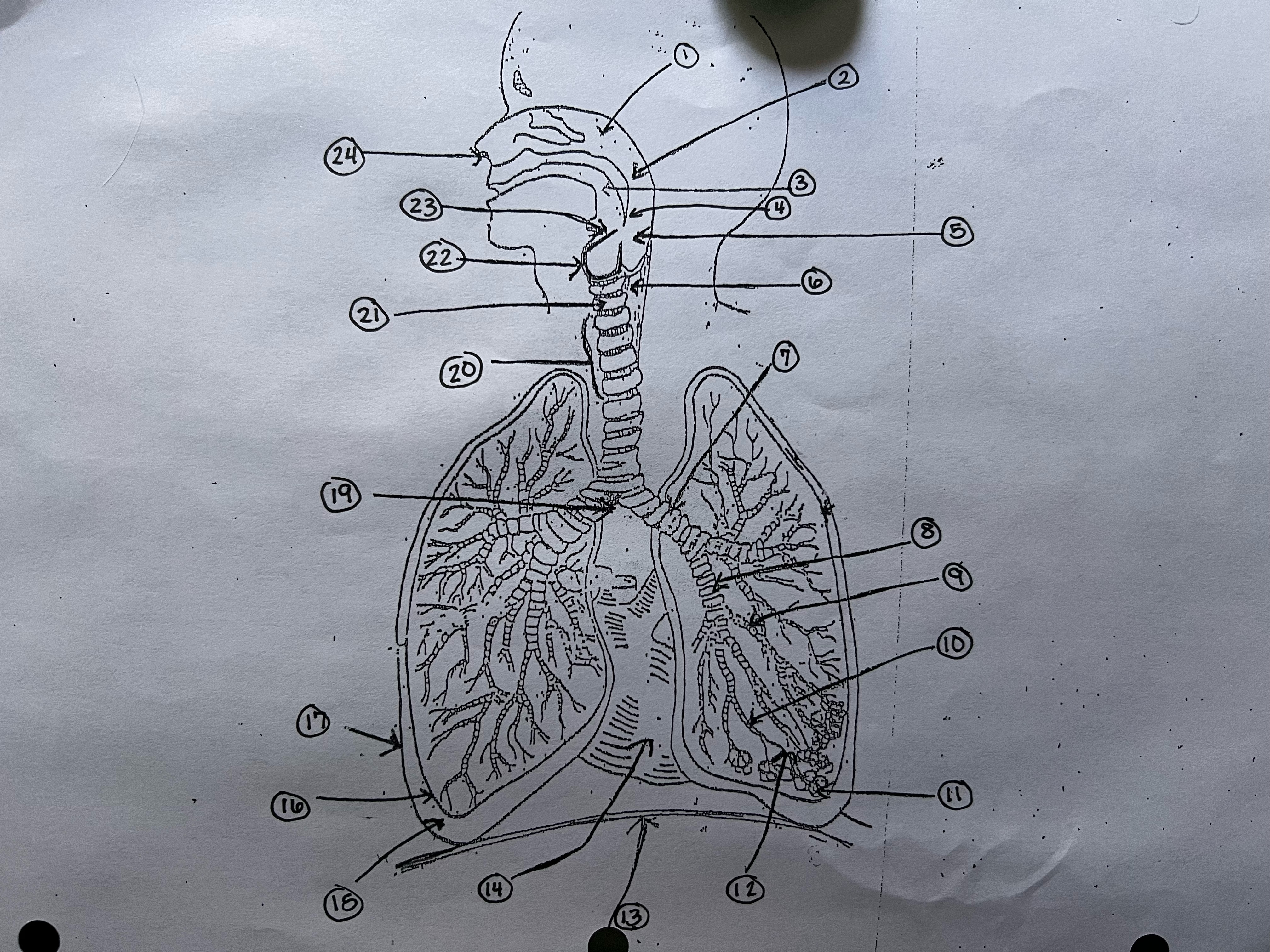 <p>19</p>
