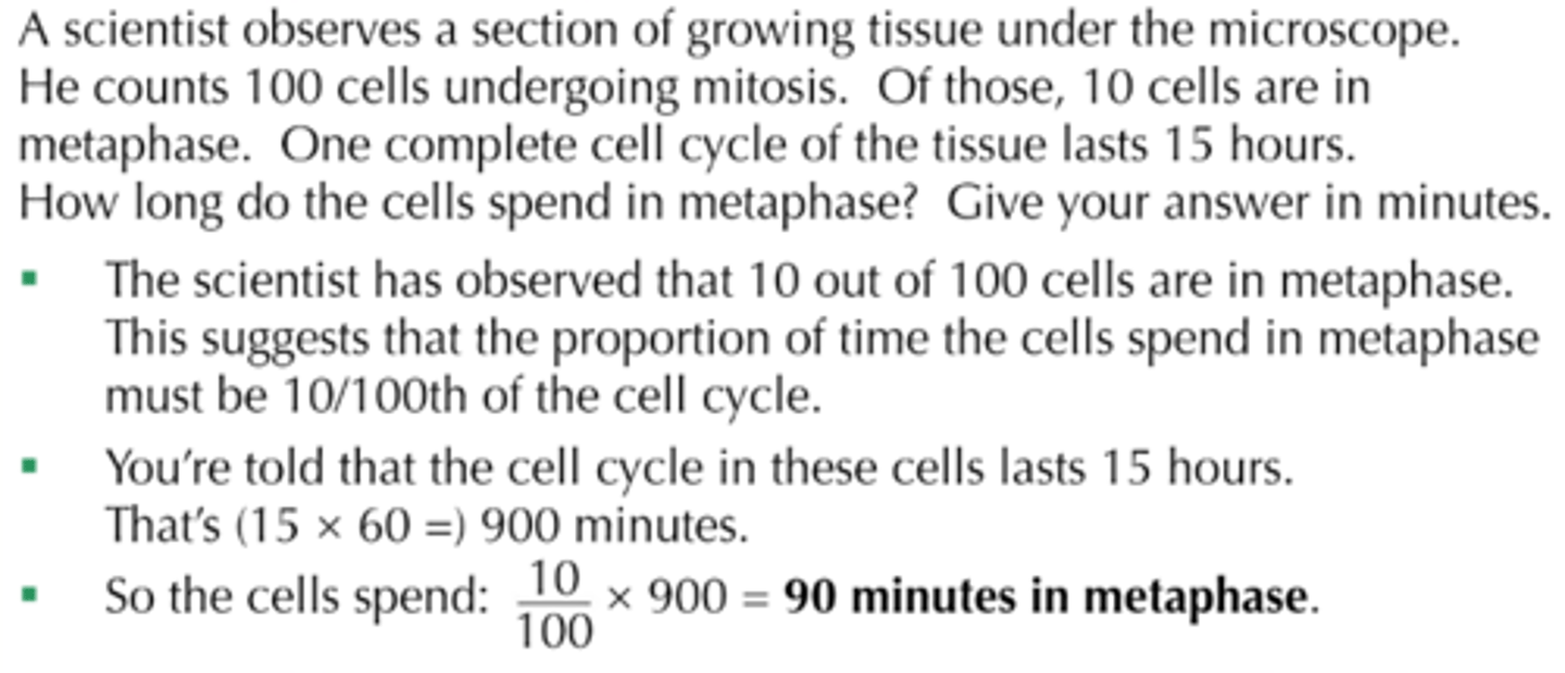 <p>- The time taken for each stage of mitosis varies depending on the cell type and the environmental coditions.<br>- You can calculate how long each stage of mitosis lasts with the right information (how many of the cells are undergoing mitosis, how many of the cells are going undergoing each phase/the phase in question, how long one complete cell cycle of the tissue you're investigating lasts).</p>