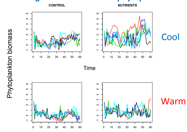 <p>Explain this graph</p>