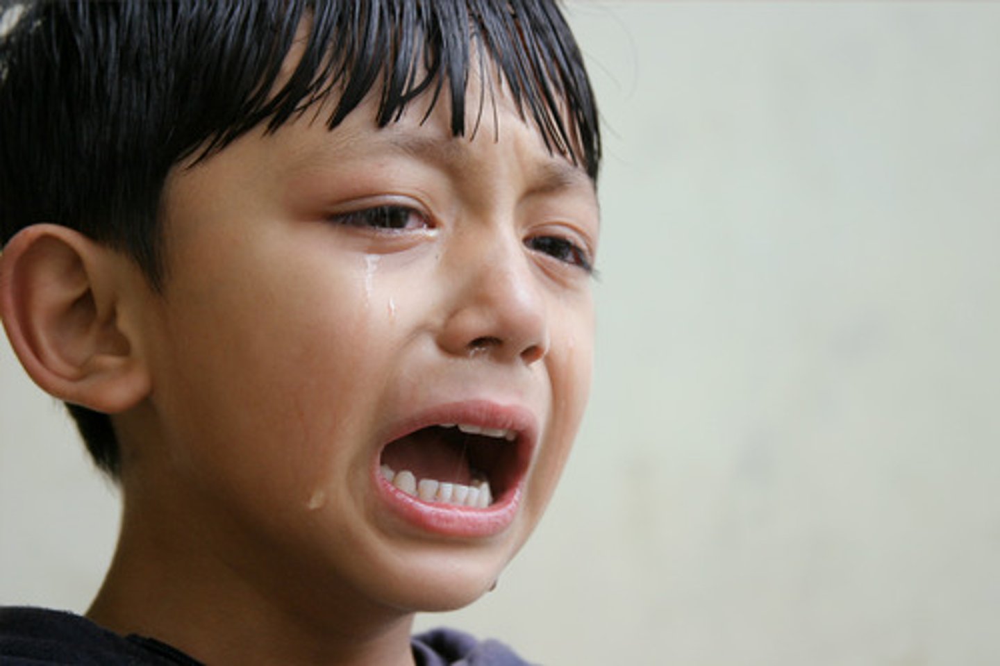 <p>(n) a grief-filled cry; an expression of sorrow</p>