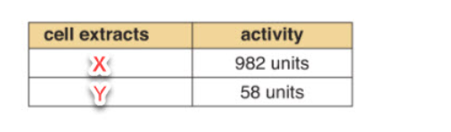 <p>which smaple is old DNA <span>polymerase</span></p>