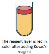 <p>what is the result of this tube in indole test?</p>