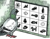 <p><strong>Operant Conditioning People/research </strong><em>(mod 27, 28)</em></p><p>An experimental project to create pigeon-guided missiles. the pigeons were trained by Skinner to peck at a target, and they rewarded with food when they completed the task correctly. <strong>Abstract learning</strong></p>