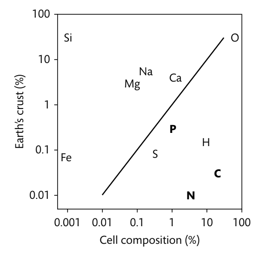 <p>Which 3 elements seen in this figure most commonly limit microbial growth in nature?</p>