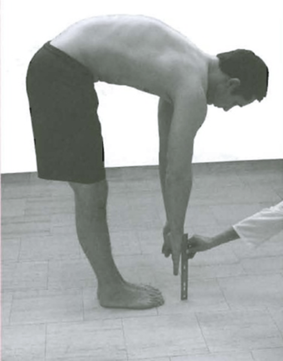 <p>distance between middle fingertip and floor</p>