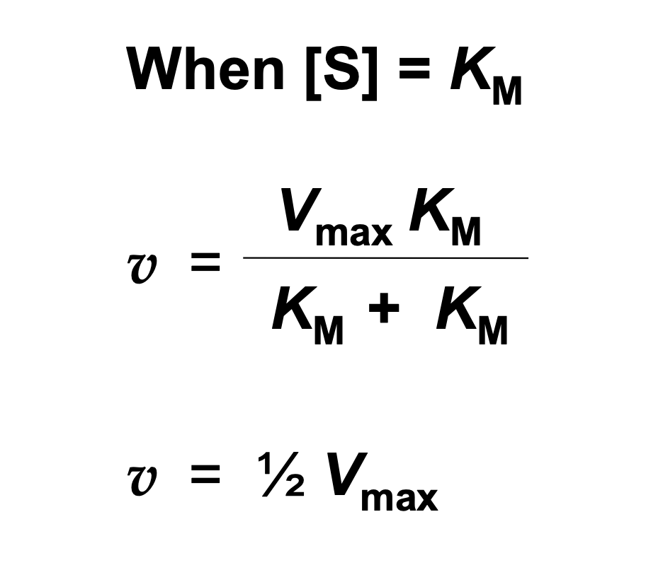 <p>At the substrate concentration at which [S] = <em>K</em><span style="font-size: 16px; font-family: Arial"><sub>M</sub>,</span> v = ½ V<span style="font-size: 16px; font-family: Arial"><sub>max</sub></span> so that <em>K</em><span style="font-size: 16px; font-family: Arial"><sub>M</sub></span> is the substrate concentration at which the reaction velocity is half-maximal.</p>