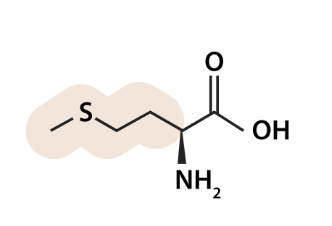 <p>what aa is this</p>