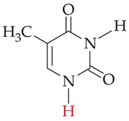 <p>recognize this structure</p>