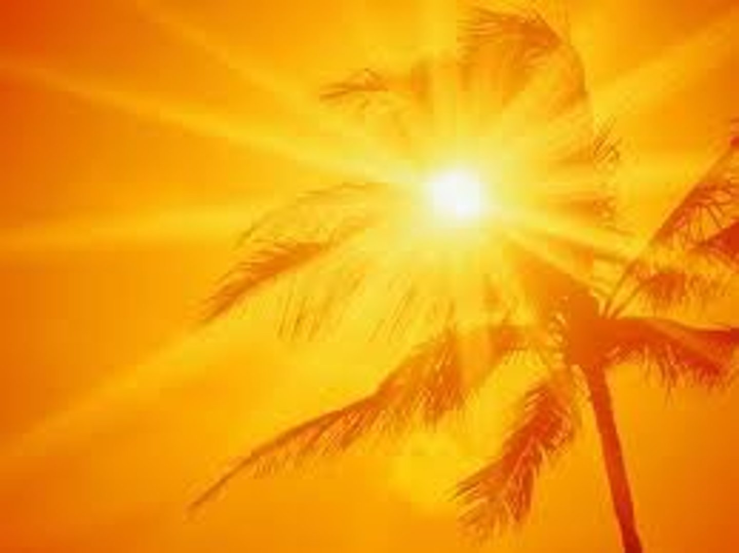 <p>yáng guāng - sunshine - ánh nắng, ánh sáng mặt trời</p>