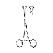 Used to hold round structures (Babcock intestinal forceps)