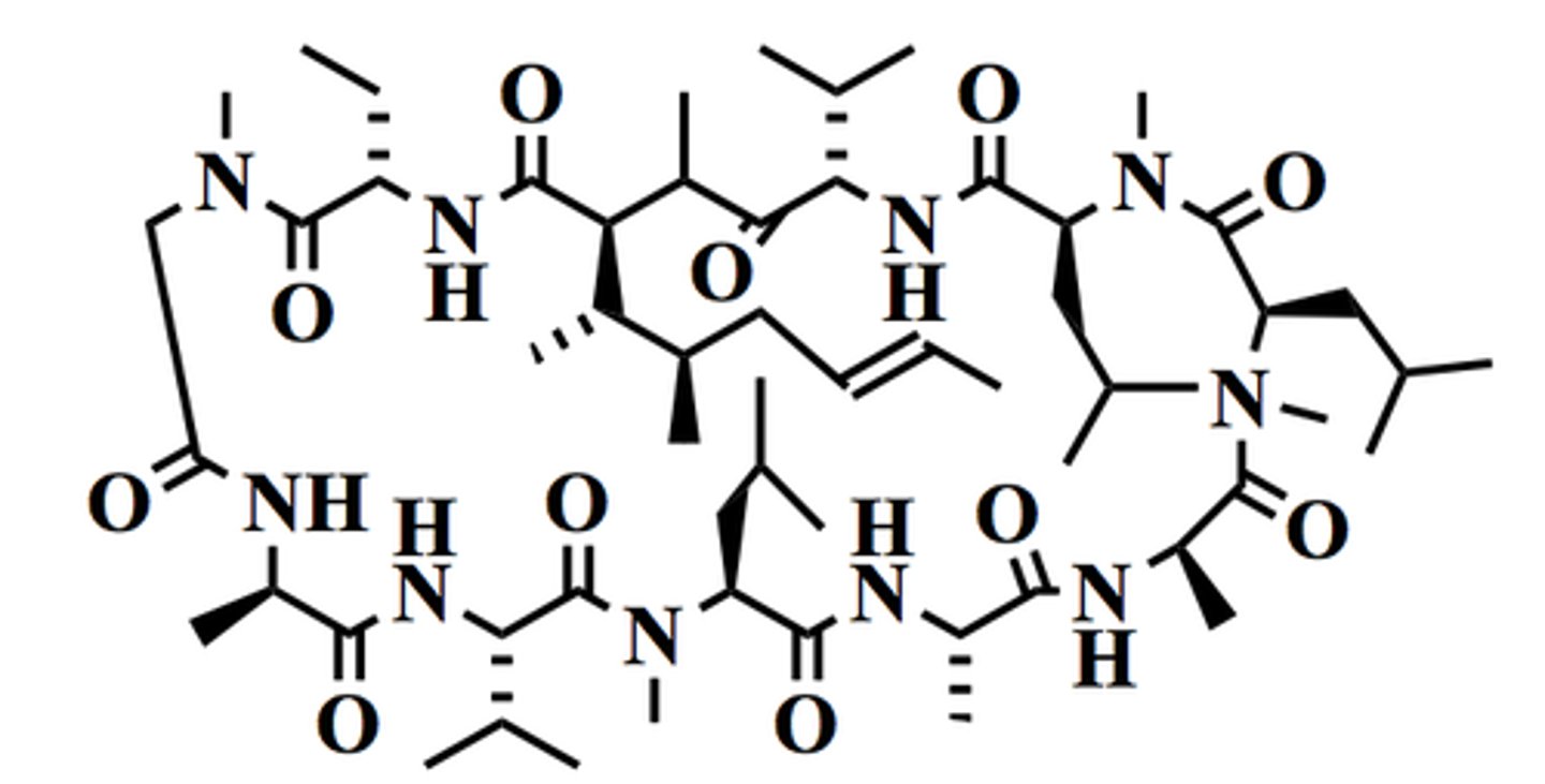 <p><strong>Brand:</strong> Restasis</p><p><strong>Class:</strong> Calcineurin Inhibitor</p><p><strong>MOA:</strong> Inhibits the release and production of interleukin II. Binds to cyclophilin to inhibit the antigenic response of THC which reduces the production of IL-2 and suppresses IF-y. Inhibition of immune response limits inflammation</p>