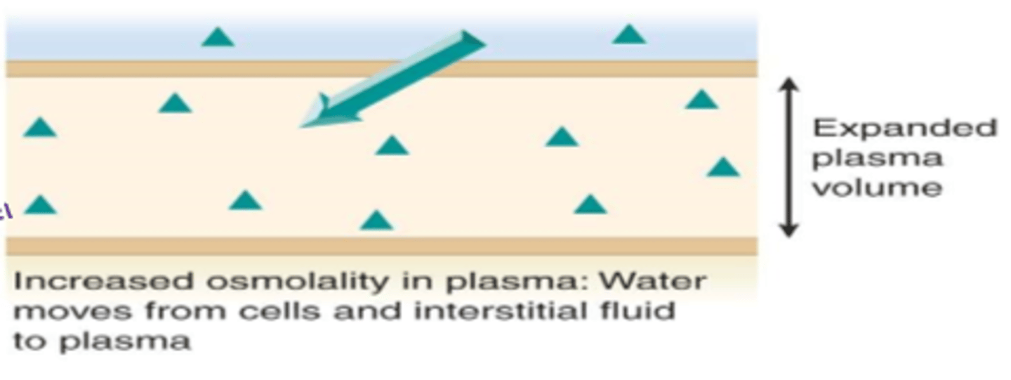 <p>- very strong dose of NS, hypertonic</p><p>- tx eg: head injury, tx to decrease ICP</p>