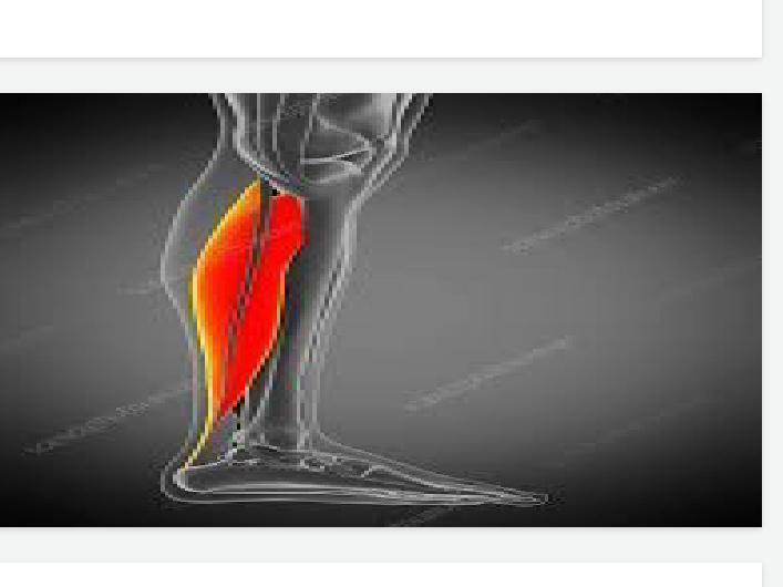 <p>Lower body</p>