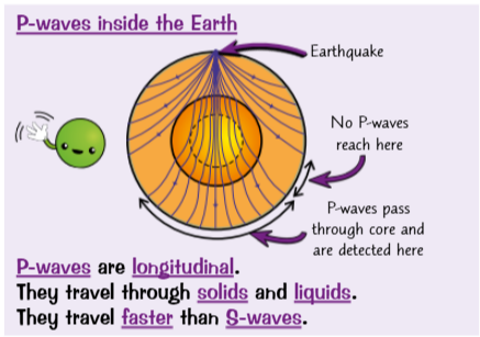 <ul><li><p>P-waves are longitudinal.</p></li><li><p>They travel through solids and liquids.</p></li><li><p>They travel faster than S-waves.</p></li></ul><p></p>