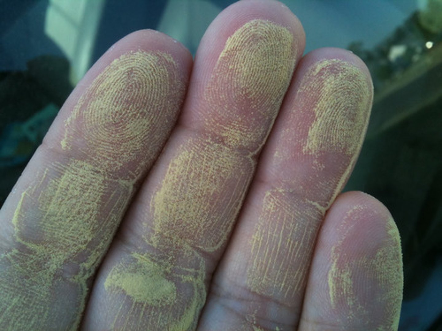 <p>A fine dust that contains the sperm of seed-producing plants.</p>