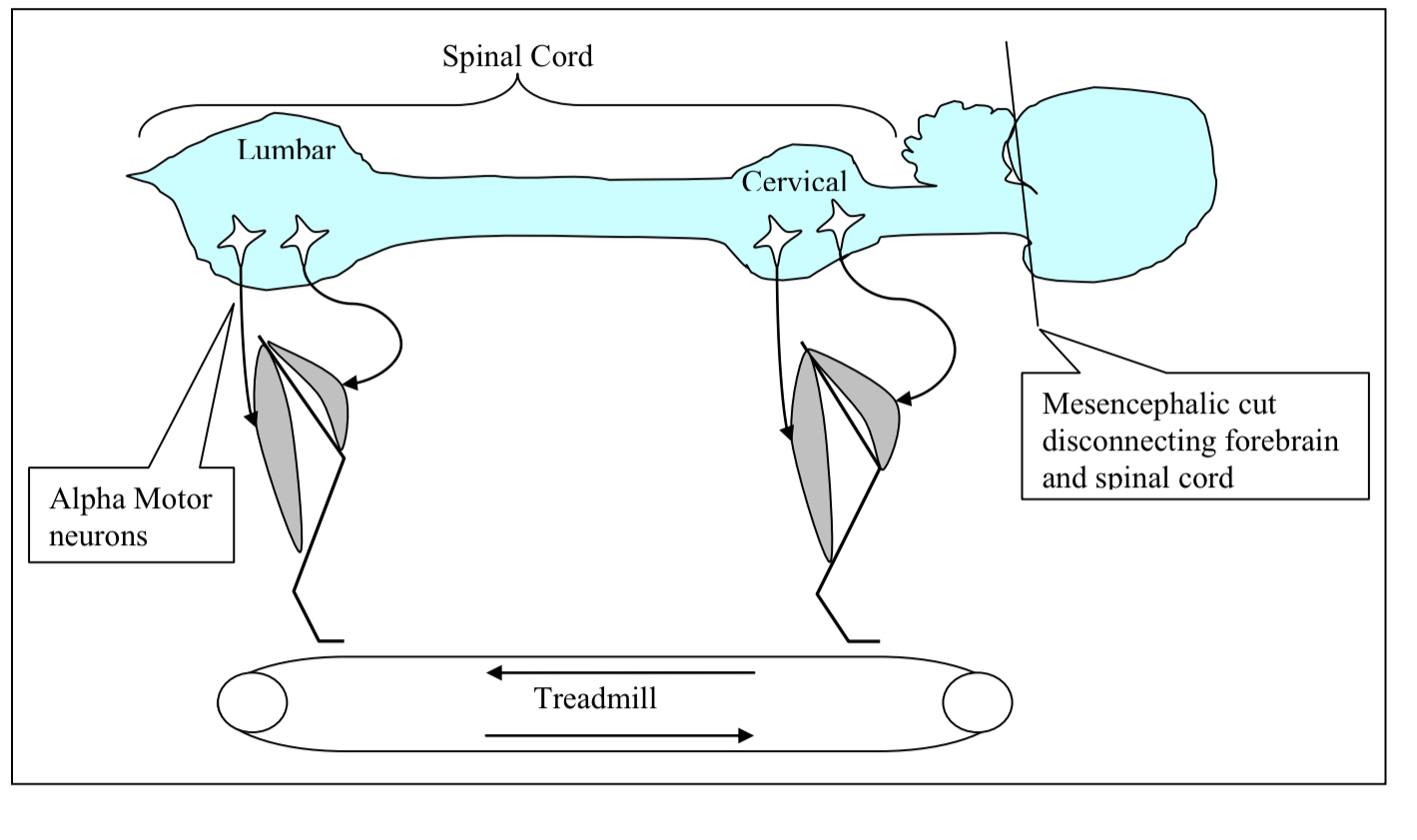 <p>What does this diagram show?</p>