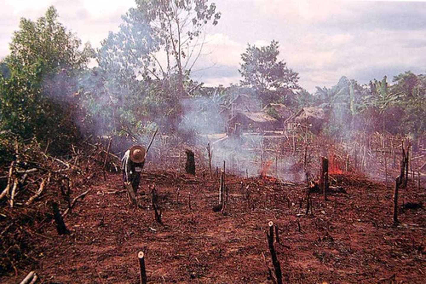 <p>The destruction of habitats that usually results from human activities</p>
