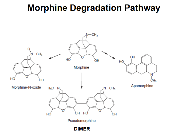 <ul><li><p>morphine-N-oxide</p></li><li><p>pseudomorphine</p></li><li><p>apomorphine</p></li></ul><p></p>