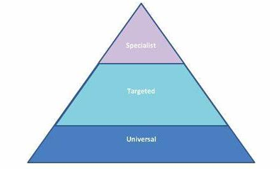 <p>specialist</p><p>targeted</p><p>universal</p>