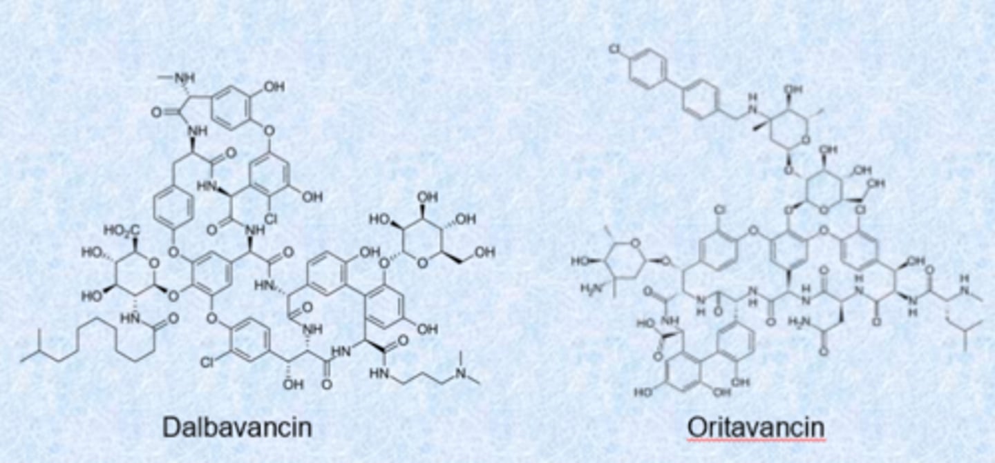<p>- very long half-lives (14-15 d), bind strongly to membrane via lipid tail</p><p>- uses in skin infections (single dose)</p><p>- because they are associated with the membranes, they are not excreted from the body</p>