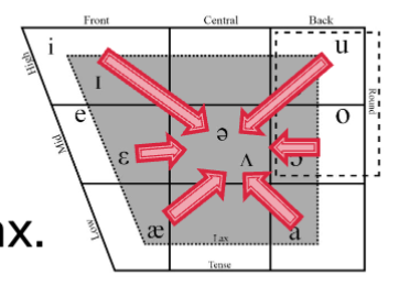 <p>vowel reduction examples</p>
