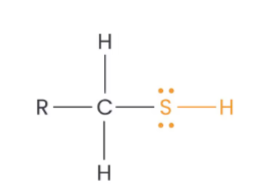 <p>What is this functional group? </p>