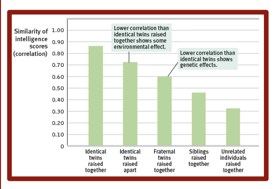 <p>bar graph of intelligence score correlations is important to spend time on </p>