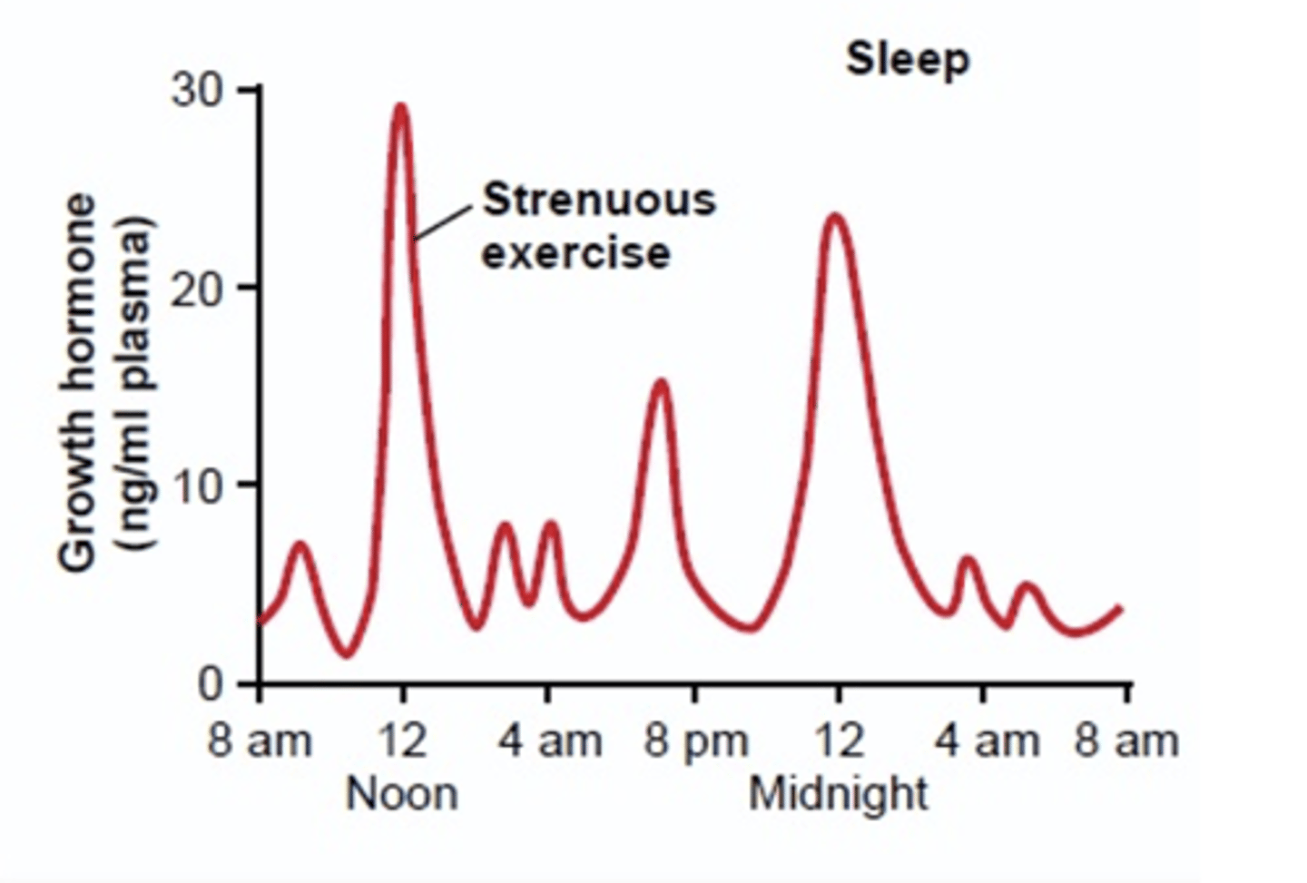 <p>Chemical messengers in the bloodstream </p><p>- <strong>Pulsatile release: </strong>not a steady pattern: environmental factors: working out + early on in the sleep cycle (release of growth hormones)</p><p>- <strong>Negative Feedback System: </strong>Hormones are released until a set amount is detected in the bloodstream then the release is stopped </p>