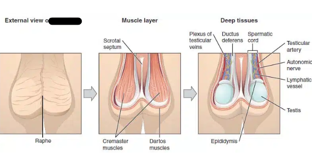 <p>What structure?</p>