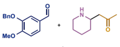 <p>intramolecular Mannich condensation overall equation</p>