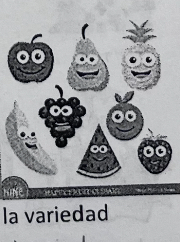 <p>the variety</p>
