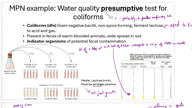 <p>How are coliforms in water often initially counted?</p>
