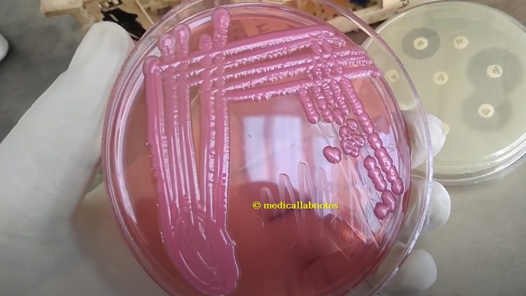 <p>What is this?</p>