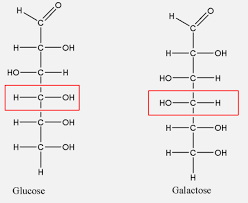 <p>Yes, d-fructose is a structural isomer since it’s a ketose and d-ribose has 5 carbon atoms</p>