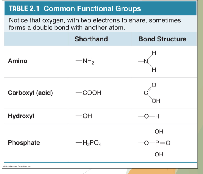 <p>biomolecule monomers link up through reactions between functional groups</p>