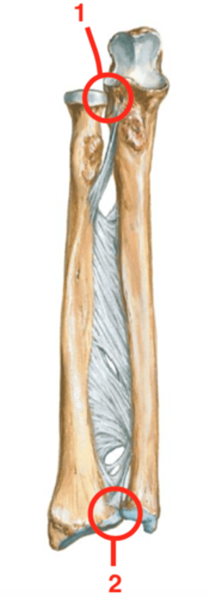 <p>2</p>