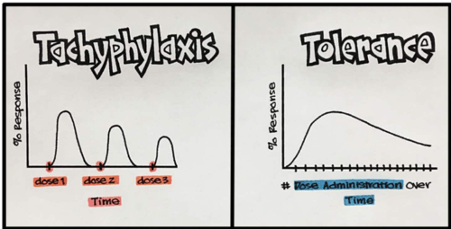 <p>tolerance develops over a long period of time, while tachyphylaxis is an acute event </p><p>- tolerance can be overcome by increasing the dose (unlike tachyphylaxis) </p>