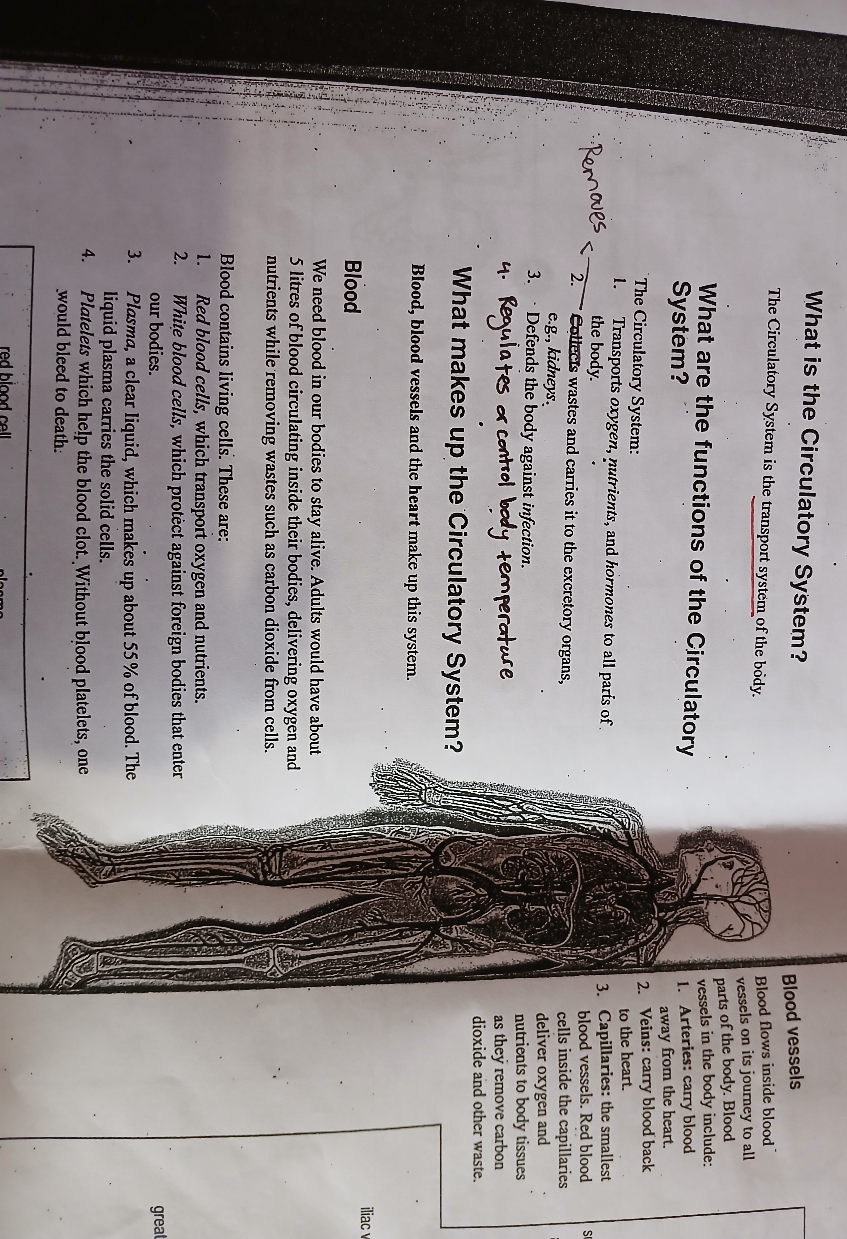 knowt flashcard image