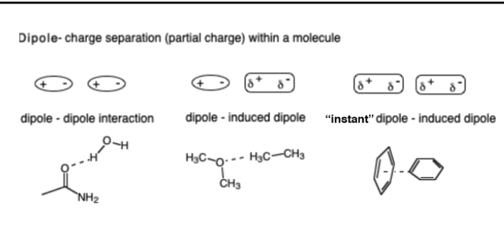 <p>•Dipoles can be permanent or temp induced by a nearby charge</p>