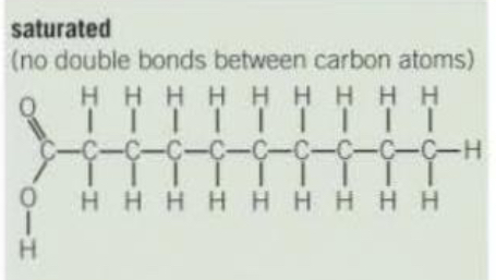 <p>No carbon-carbon double bonds.</p>
