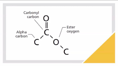* Are esters of fatty acids with higher molecular weight monohydric alcohols

\
* consist of long-chain fatty acid linked through an ester oxygen to a long-chain alcohol

\
* completely water-insoluble and generally solid at biological temperatures

\
* function as water repellants on the leaves of some plants, on feathers, and on the cuticles of certain insects