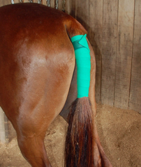 <p>Tail wrap</p>