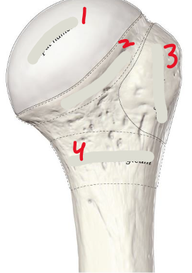 <p>2</p>