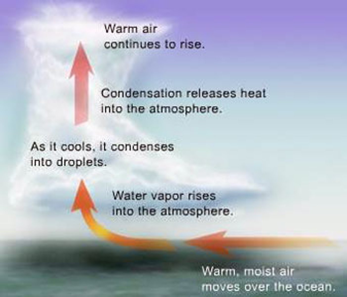 <p>· Fire</p><p>· Snow/crystals</p><p>· Hurricanes</p>