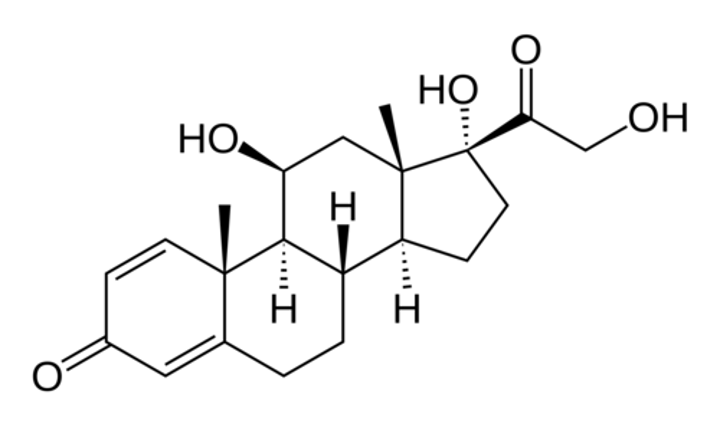 <p><strong>Brand:</strong> Various (Orapred, Prelone)</p><p><strong>Class:</strong> Corticosteroid</p><p><strong>MOA:</strong> Alters the body's immune response to stimuli. Decreases inflammation by suppression of migration of polymorphonuclear leukocytes and reversal of increased capillary permeability; suppresses the immune system by reducing activity and volume of the lymphatic system</p>