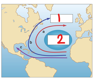 <p>What does 2 represent in the image?</p>